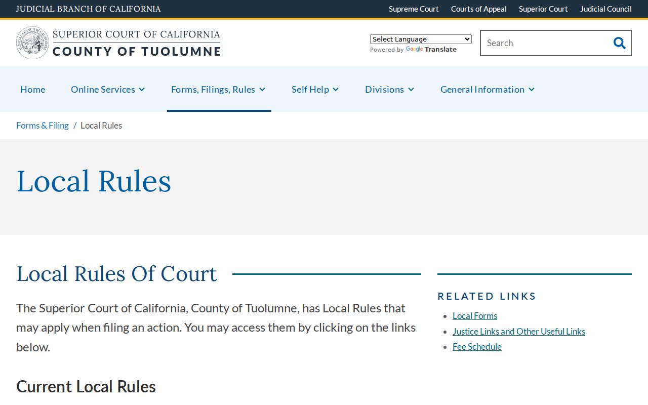 Tuolumne County criminal court local rules